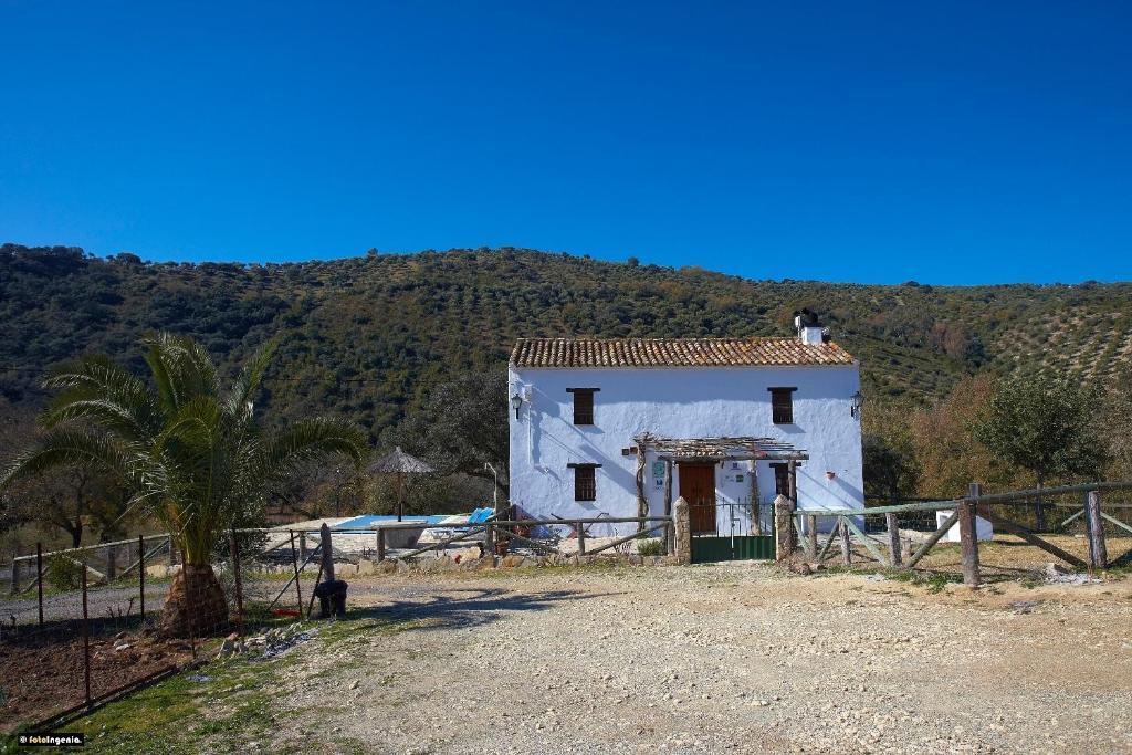 Hotel Enrique Calvillo Эль-Боске Номер фото