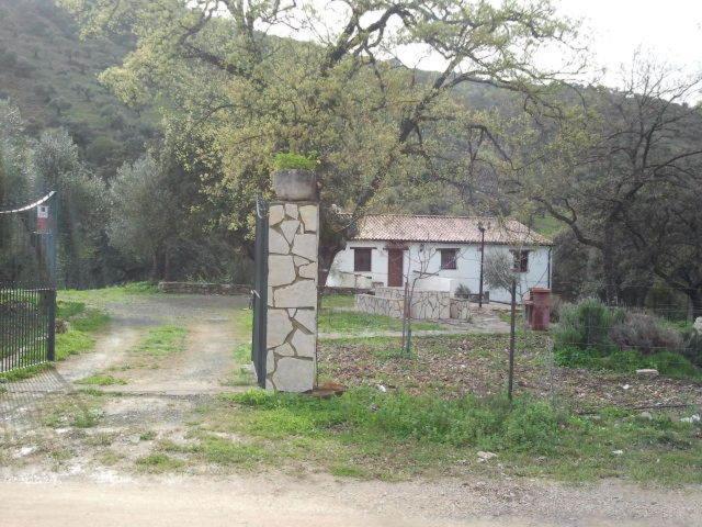 Hotel Enrique Calvillo Эль-Боске Номер фото